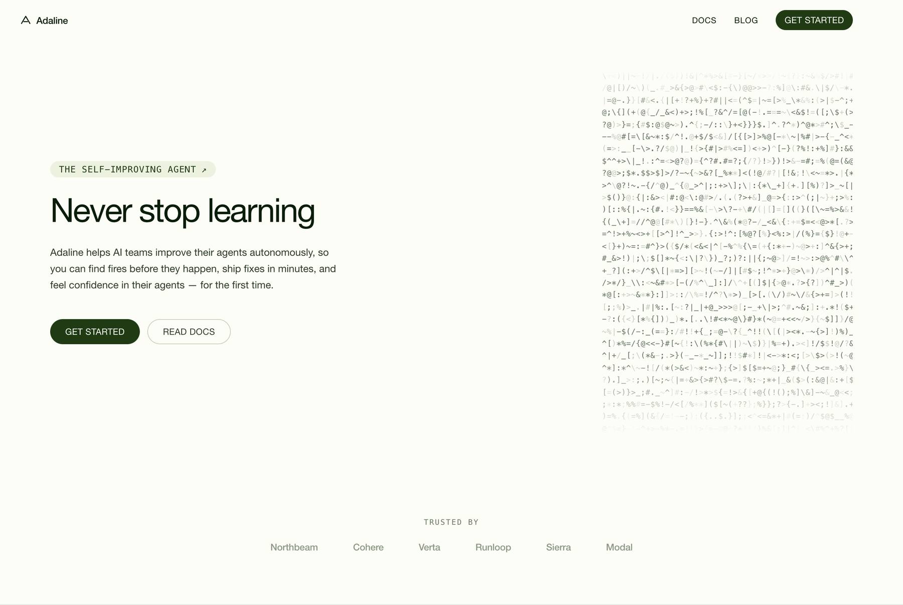 Adaline 首页 Never stop learning 的整页缩略图（不裁）